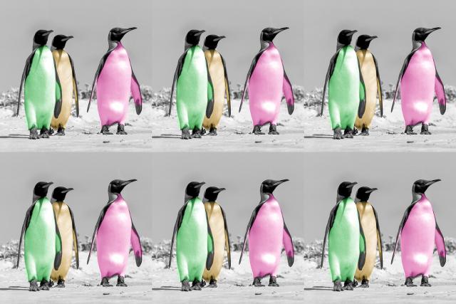 Warhol penguins as non-fungible token (NFT)