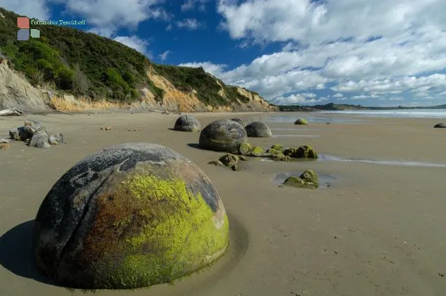 Die Moeraki Boulders am Boulders Beach