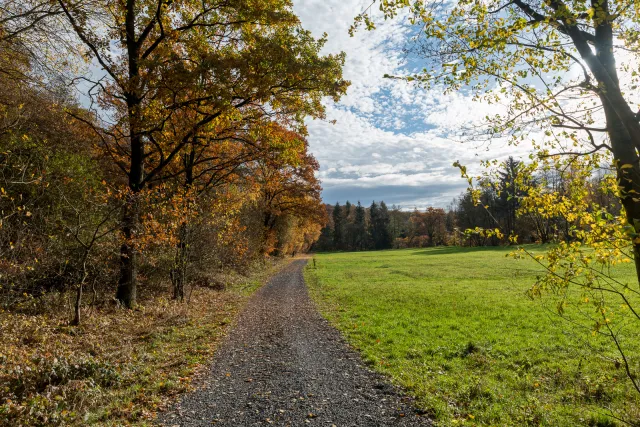 In the Hanfbachtal at Wiederschall