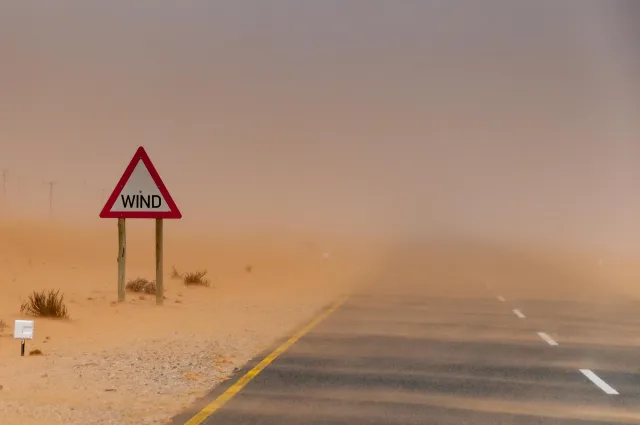 In the sandstorm of the Namib