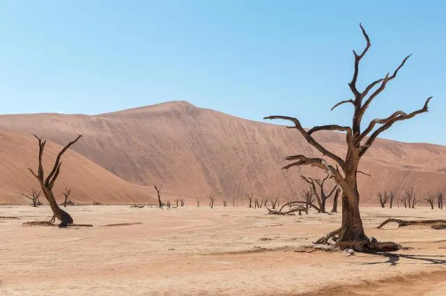 The Deadvlei