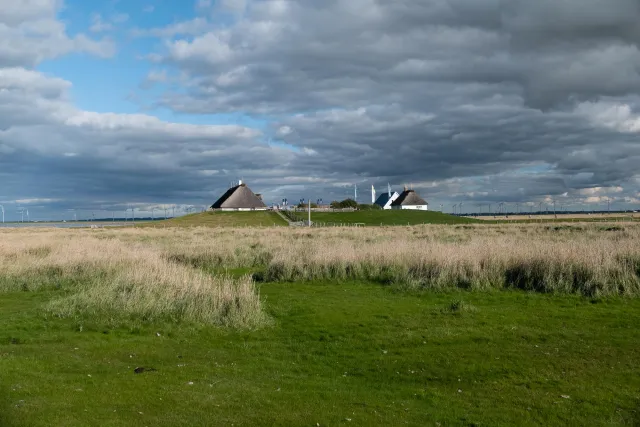 On the Hamburg Hallig