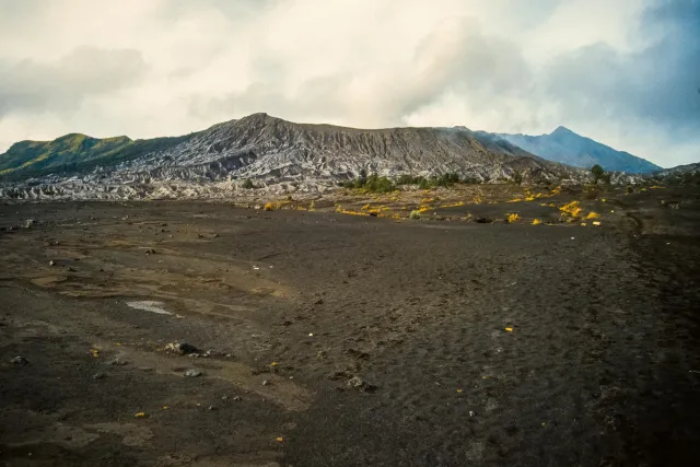 Der Bromo und die Ebene