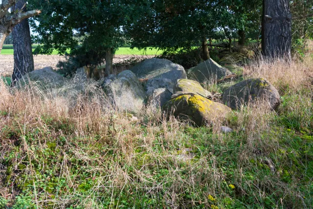 Large cairn at the Kölkesdose (Lahn IV) near Lahn with the Sprockhoff no. 837