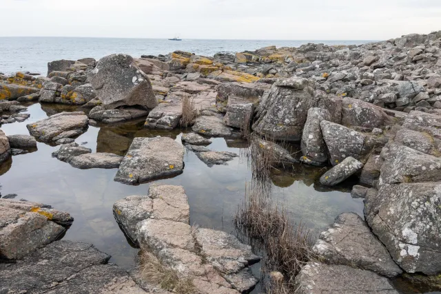 Over the rocks of the rugged coast