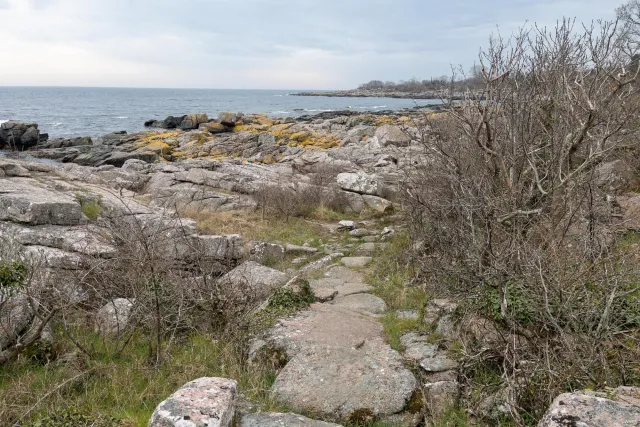 Over the rocks of the rugged coast